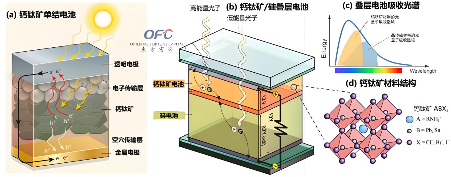 鈣鈦礦太陽(yáng)能電池結(jié)構(gòu)中的每一層的作用是什么